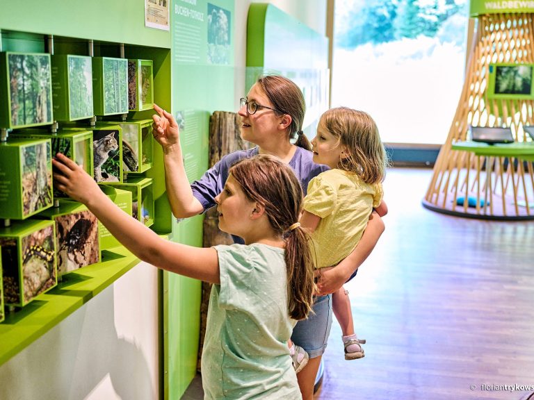 Mutter mit Kindern beim Entdecken des Waldes im Steigerwaldzentrum
