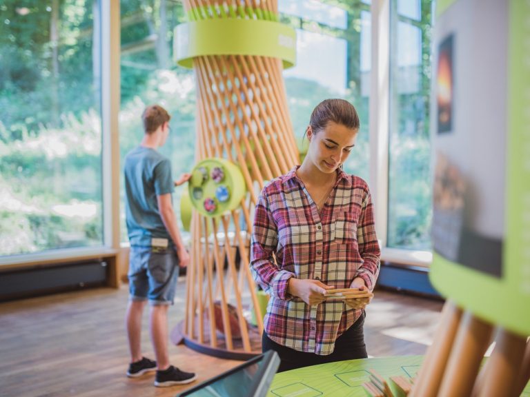 Jugendliche beim Entdecken des Waldes